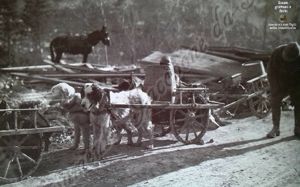 Il Maremmano Abruzzese nella grande guerra_JacoponeDaTodi_23