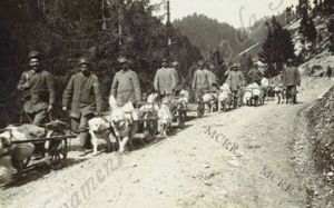 Il Maremmano Abruzzese nella grande guerra_JacoponeDaTodi_4