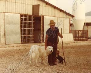 Pastore Maremmano Abruzzese, viaggi nell'appennino