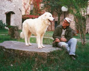 Pastore Maremmano Abruzzese, Dott. Prof. Franco Simoni