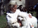 Maremmano Abruzzese puppies next to the historical direction of the breeding