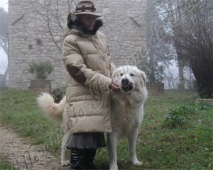 iaggi nell'appennino